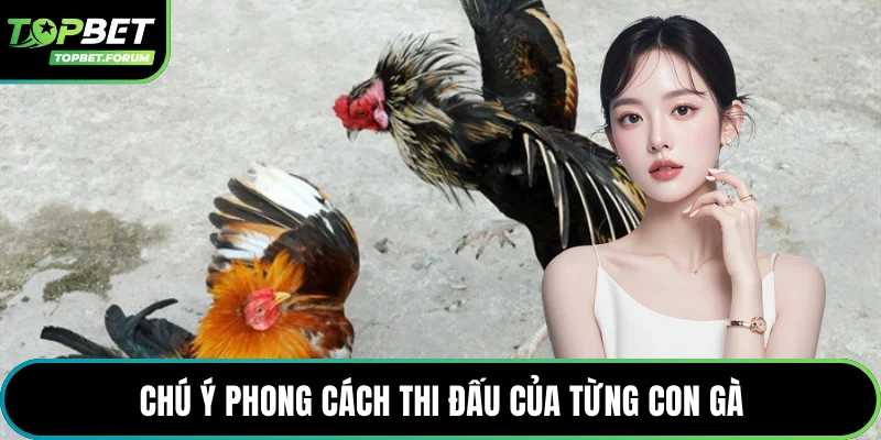 Chú ý phong cách thi đấu của từng con gà