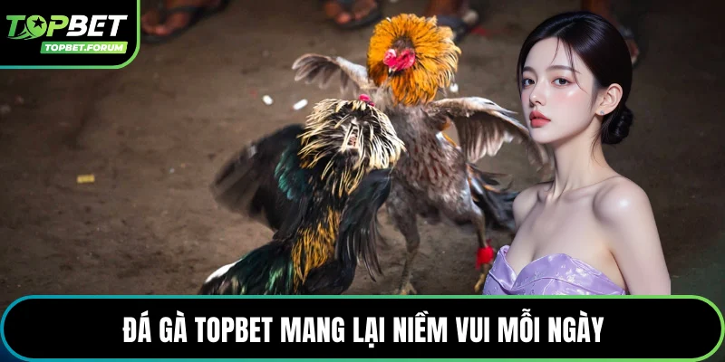 Đá gà Topbet mang lại niềm vui mỗi ngày