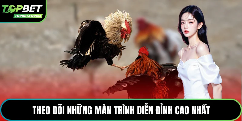 Theo dõi những màn trình diễn đỉnh cao nhất