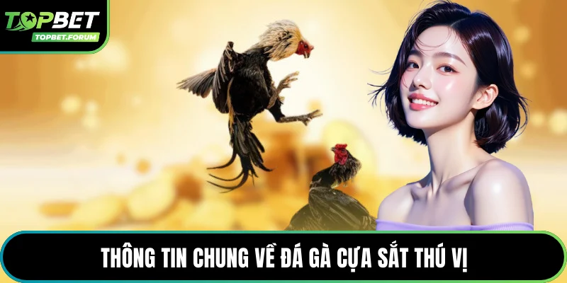 Thông tin chung về đá gà cựa sắt thú vị
