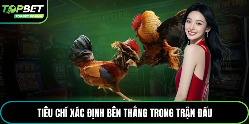 Tiêu chí xác định bên thắng trong trận đấu