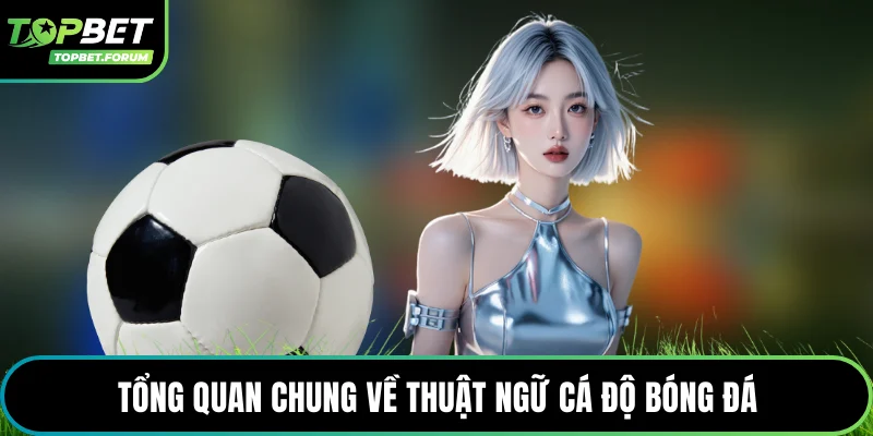 Tổng quan chung về thuật ngữ cá độ bóng đá